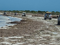 03 Seaweed Commences